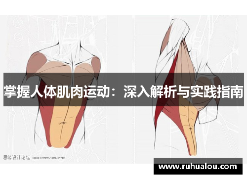 掌握人体肌肉运动：深入解析与实践指南