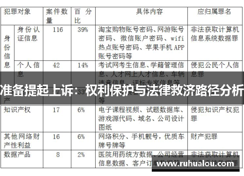 准备提起上诉：权利保护与法律救济路径分析